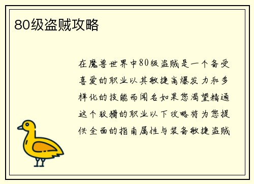 80级盗贼攻略