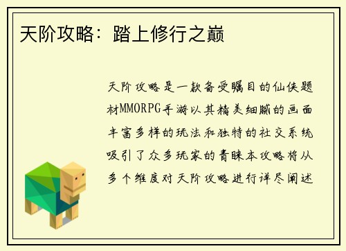 天阶攻略:踏上修行之巅