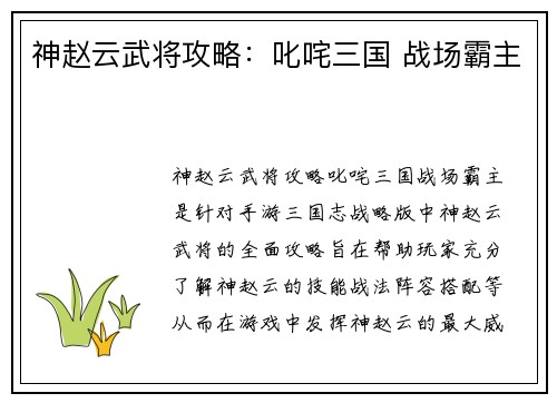 神赵云武将攻略:叱咤三国 战场霸主