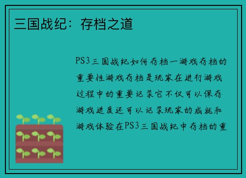 三国战纪：存档之道